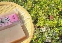 Konnyaku: Superfood Rendah Kalori dari Jepang yang Bikin Kenyang Lebih Lama