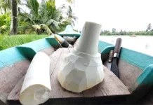 Bolehkah Makan Jantung Kelapa? Simak Fakta Nutrisi dan Manfaatnya bagi Kesehatan