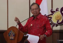 Bali Target Lepas dari Energi Fosil, Koster Pacu PLTS Demi NZE 2045