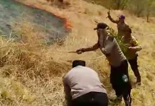 Tim Gabungan Sisir dan Padamkan Api di Bukit Pemuteran