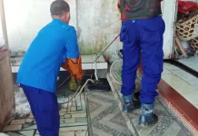 Damkar Jembrana Evakuasi Dua Ular Kobra dari Permukiman Warga
