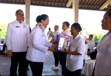TP Posyandu Bali Sosialisasikan Transformasi Posyandu di Buleleng