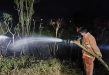 Lahan Kosong di Batu Agung Terbakar, Diduga Berawal dari Pembakaran Sampah