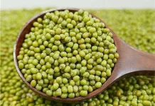 Mengenal Manfaat Kacang Hijau sebagai Sumber Nutrisi Nabati Pilihan