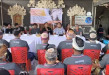 Tyto alba Jadi Solusi Pengendalian Hama Pertanian Berkelanjutan