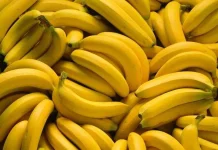 Mengenal Manfaat Buah Pisang sebagai Sumber Energi Alami Tubuh