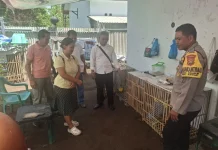 Diduga Curi Dua Ayam, Residivis di Sawan Dibekuk Polisi Kurang dari 24 Jam