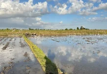 Pemberdayaan Masyarakat, Kunci Sukses Mengoptimalkan Potensi Desa