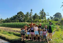 Bu Tani: Sawah Bali Jangan Sampai Hilang