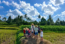 Edutani Krisan Eco Farm Ajak Anak Betah Belajar Bertani