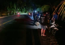 Pengendara Scoopy Terluka Laka Tunggal di Jalur Denpasar-Gilimanuk