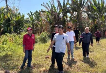 Wall Panjat Tebing Internasional Dibangun di Buleleng, Dukung Sport Tourism Bali