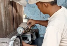 Batu Pulaki Resmi Kantongi Sertifikat Indikasi Geografis Nasional