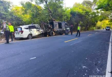 Tabrakan Mobil dan Bus di Hutan Bali Barat, Dua Orang Meninggal