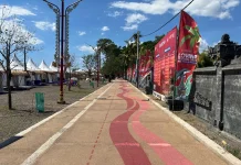 Revitalisasi Lovina Berlanjut, Tahap Dua Fokus UMKM dan Ruang Publik Baru
