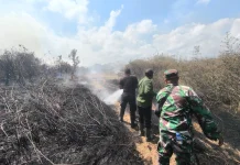 Kebakaran Hanguskan 1,5 Hektare Lahan Kering di Pekutatan