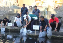Pemkab Buleleng Tebar 50 Ribu Benih Nila Lestarikan Perairan Buleleng