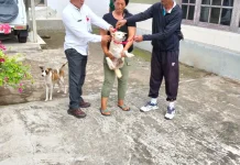 Puluhan HPR Positif Rabies, Desa di Jembrana Diminta Perkuat Pendataan