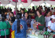 Pasar Rakyat PKK Bali di Jembrana Raup Omzet Rp672 Juta