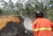 Kebakaran Lahan di Batu Agung, Damkar Kerahkan 11.500 Liter Air