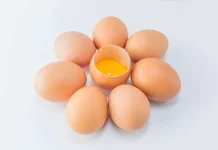 Telur Omega-3, Bukan Sekadar Telur Biasa: Nutrisi Diperkaya dari Pakan