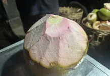 Menguak Khasiat Kelapa Merah: Si Langka Berwarna Eksotis yang Kaya Manfaat