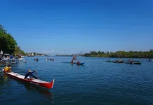 Lomba Sampan Tradisional Meriahkan HUT Kota Negara ke-131
