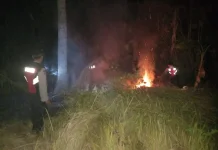 Lahan Kosong Terbakar di Nusasari, Damkar Kerahkan Dua Armada