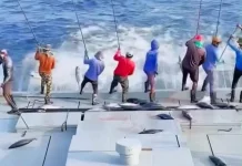 Huhate, Teknik Tangkap Cakalang Tradisional yang Ramah Lingkungan