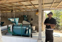 Perkuat Potensi Kopi Arabika Desa Gobleg, PLN Hadirkan Dukungan bagi Petani