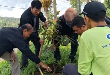 Undiksha Perkuat Reforestasi Berbasis Green Technology di Kintamani