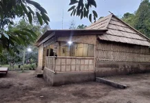 Rumah Adat Mesegali yang Punah Kembali Hadir di Desa Pedawa