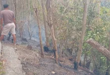 Kebakaran Lahan Melanda Desa Sekumpul, Sejumlah Titik Api Berhasil Dipadamkan