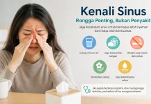 Mengenal Sinus: Pengertian, Penyebab, Gejala, dan Cara Menjaganya