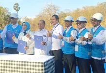 Bali Percepat Transisi Energi, PLTS Gilimanuk Jadi Proyek Strategis