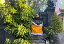 Bukan Sekadar Mitos, Ini Rahasia Pagar Spiritual Kayu Tulak dan Kayu Sisih