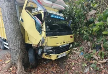 Truk Colt Diesel Tabrak Pohon hingga Terperosok ke Got di Melaya