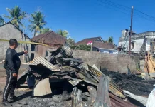 Kebakaran Hanguskan Dua Titik di Pelapuan, Bangunan Usaha Alami Rusak Berat
