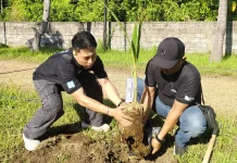 Harmoni dalam Aksi, RRI Singaraja Hijaukan Kawasan Pemancar