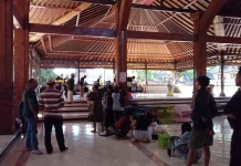Vaksinasi dan Sterilisasi Massal, Disambut Antusiasme Masyarakat Jembrana