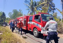 Sehari, Kebakaran Lahan Terjadi di Dua Lokasi di Jembrana