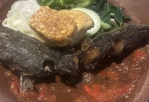Menyingkap Rahasia Kelezatan Pecel Lele, Kuliner Legendaris Pinggir Jalan
