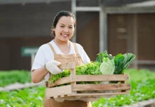 Asupan Gizi Anak Dimulai dari Piring Makan