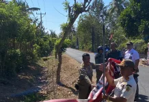 Satpol PP Jembrana Tertibkan 37 Media Promosi Liar