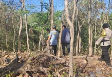 Kelurahan Liligundi Perkuat Kesiapsiagaan Cegah Karhutla