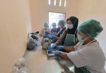 Undiksha Dampingi Petani Anggur Banjar Atasi Anjloknya Harga Panen