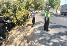 Truk Box Terperosok ke Parit di Kaliakah, Pengemudi Selamat