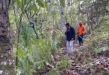 Lansia Hilang di Yehembang Kangin Ditemukan Selamat di Sungai