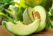 Mengenal Manfaat Buah Melon untuk Kesegaran dan Kecukupan Cairan Tubuh