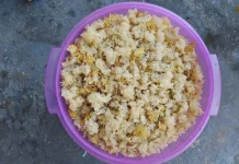 Mengupas Manfaat dan Bahaya Bakteri pada Nasi Aking